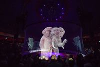 Écran de projection en maille holographique 3D avec effet hologramme pour spectacles sur scène, grands événements, produit holographique transparent
