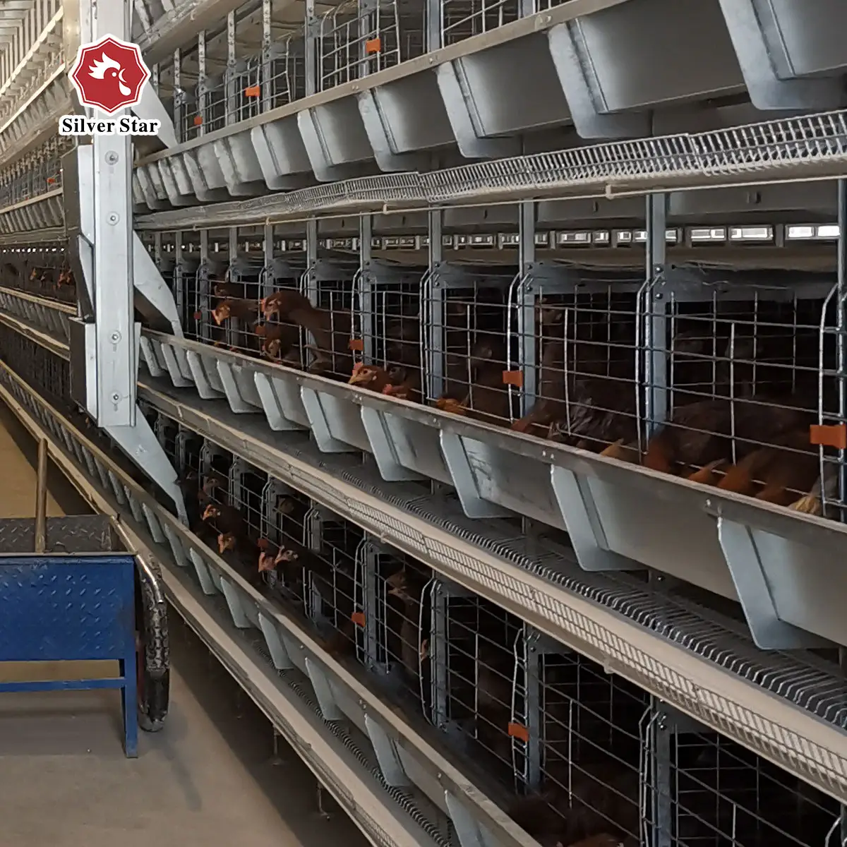 Siver Sterne Factory Preis Kessel Huhn Vogelkäfig für Große Farmer