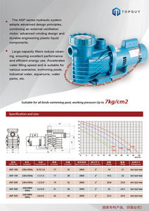 Bombas de Agua de 220V 1.0HP 50HZ a <span class=keywords><strong>Precio</strong></span> de Fábrica, Filtros de <span class=keywords><strong>Piscina</strong></span> ASP Eficientes para Piscinas y Acuarios - Product Image 4