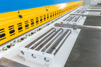 Raymax QC11Y Präzisions-CNC-Hydraulische Guillotine-Schneidemaschine für Edelstahl- und Kohlenstoffstahlverarbeitung