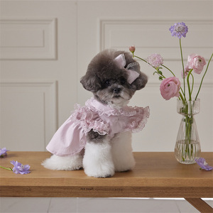 Sweet Lace Dress For <b>Dogs</b> <b>Light</b> Blue Cotton Pet Apparel With Bow Hair Accessory - Product Image 4