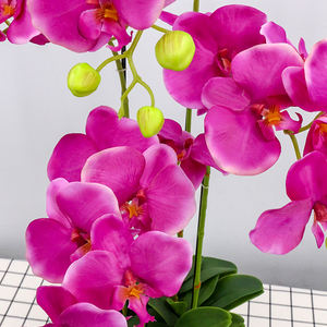 उच्च गुणवत्ता थोक रेशम फूल 80cm orkide कृत्रिम आर्किड - Product Image 3