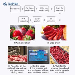 Haute productivité 100kg/lot 400Kg/lot lyophilisateur de fruits industriels équipement de lyophilisation sous vide - Product Image 5