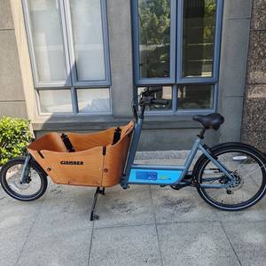 <span class=keywords><strong>Bici</strong></span> da carico elettrica per adulti fornita in Europa: 7 marce, motore mozzo posteriore, batteria al litio 36V, telaio in acciaio, economico - Product Image 1