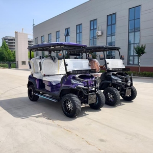 Voiture de golf de luxe 4 places, nouvelle conception, avec contrôleur intelligent et programmable pour moteur AC, à vendre - Product Image 3