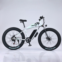 Vélo de montagne électrique tout-terrain à pneus larges de 26 pouces, moteur central, frein à disque 48V, batterie au lithium
