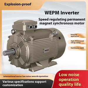 Động cơ <span class=keywords><strong>AC</strong></span> công suất cao Wepm, điều chỉnh tốc độ tần số biến thiên quốc tế, vỏ sắt IE4, quạt bơm nước, động cơ nam châm vĩnh cửu - Product Image 6