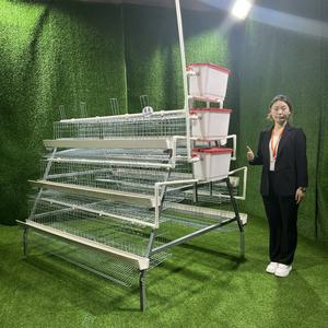 Tam otomatik su besleme sistemi ile 500 kuş pil yumurta tabakası tavuk kafesi - Product Image 1