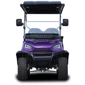 Vehículo Utilitario de Golf de Lujo de Alta Calidad a Precio de Mayoreo, Buggy de Caza de 6 Plazas, Carro a Bajo Precio - Product Image 2