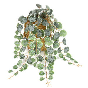 Tree Cat Artificial Hanging Plant 47cm 126 <b>Leaves</b> Green Plastic <b>Decorative</b> Vine <b>Wall</b> Mounting - Product Image 3