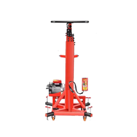 Micro-lève-personne électrique 300 kg, hauteur 4,9 m - Construction en acier/métal, moteur 2,2 kW, télécommande sans fil, nouvelle élingue à câble métallique