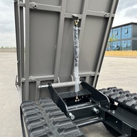 Kostenloser Versand ab Werk: Mini-Dumper 500kg mit Hoher Ausdauer und Stabilität