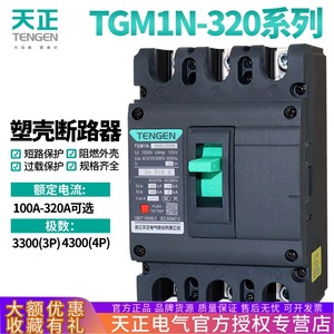 Disjoncteur à boîtier moulé Tengen Tgm1n 320L 3P 380V, thermique-magnétique, triphasé, interrupteur à air - Product Image 5