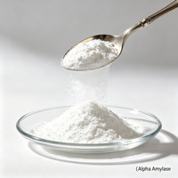Poudre d'enzyme alpha-amylase de qualité alimentaire CAS9000-90-2, haute activité, 99% de matière active, pour la boulangerie, la brasserie, l'industrie de l'amidon, HALAL KOSHER