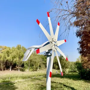 Vente Flash Éolienne Horizontale 1000W 2000W 3000W 1kW 48V 1kW 2kW 3kW à Vendre - Product Image 4