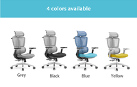 Sillas de Oficina Ergonómicas y Giratorias de Malla con Respaldo Alto, Soporte y Diseño Avanzado con Certificado BIFMA