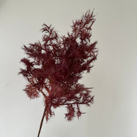 Bunga Cotinus Coggygria Mist Fog Lover Smoke Tree dari Lateks Sentuhan Realistis Buatan untuk Dekorasi Pernikahan dan Rumah