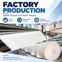 Tissu géotextile non tissé pour la construction routière, la séparation des couches sous-terrain, le drainage, la filtration et la stabilisation des sols
