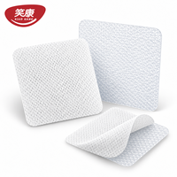 Pansement en gel de silicone non tissé à marque privée OEM, certifié CE, pour les marques de produits de santé et les distributeurs médicaux