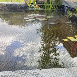 Fabrika Fiyatı Kuş Önleyici Ağlar Meyve ve Kafes Koruma Filesi Gölet Koruması - Product Image 6