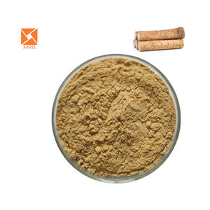 バーック根天然Arctium Lappa根エキス粉末 - Product Image 1