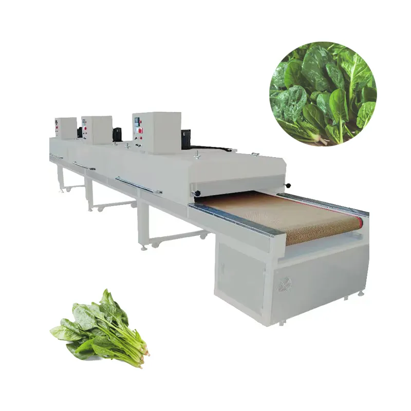 Practical drying oven tunnel dryer for drying food and industry