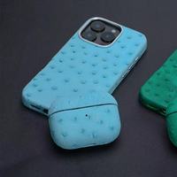 Casing Ponsel Kulit Asli Mewah Bermotif Burung Unta untuk SE/XR/12-17 dengan Dompet Anti Benturan & Pelindung Layar