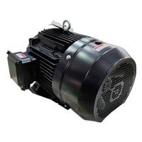60 PS Hitzebeständiger, hochwertiger Drehstrom-50-Hz-Inverter-Asynchronmotor der NEMA-Serie für Kondensatorlüfteranwendungen, Standfußmontage