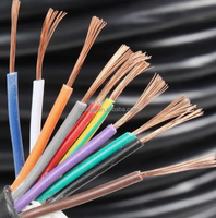BV BVR 2,5mm Sauerstofffreies Kupferkabel PVC-Isoliert Halogenfrei Flammhemmend Niederspannung IP54 Kabel für Marine
