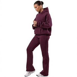 ODM Women's Winter Autumn Casual Fashion Long Sleeve Quick Dry Fleece Hoodie Sweat <b>Pants</b> Two Piece Gym Tracksuit Set for Women - Product Image 1
