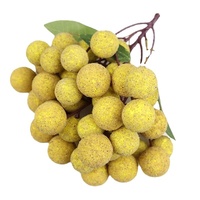 Kunstmatige plastic gesimuleerde gedroogde longan en lychee nep fruitcluster voor etalage China