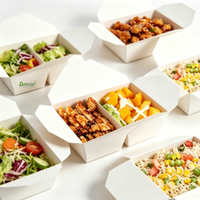 Boîte à lunch jetable en papier, compartimentée, avec revêtement PE anti-graisse, pliable, pour plats à emporter, bento, salades, poulet frit, repas légers, street food, pique-nique