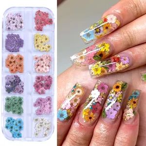 12 Rejillas de Adornos de Uñas con Flores 3D Coloridas, Ultrafinas, de Resina y Pulpa de Madera, Pequeñas Margaritas, Accesorios de Decoración para Manicura DIY - Product Image 1
