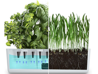 Système de culture hydroponique kit de boîte de culture pour plantes de jardin d'intérieur