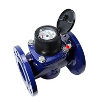 Compteur d'eau industriel mécanique Woltman à turbine en vrac de type sec R160/R250 AMR/AMI, corps en fonte, classe de protection IP68