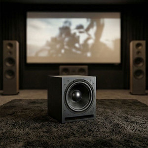 <span class=keywords><strong>Subwoofer</strong></span> <span class=keywords><strong>Activo</strong></span> CHORDIO BW15D, Altavoz de Bajos Profundos para Sistemas de Cine en Casa y Configuraciones de Entretenimiento KTV Premium - Product Image 6