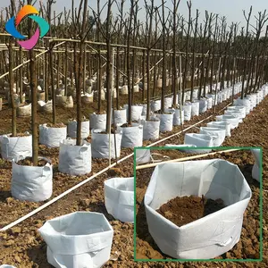 Geotessile piantare crescere borse ecologico per la copertura di colture, alberi, fiori, pomodori, giardini