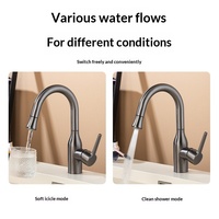 Nouvelle conception de tête de pulvérisation flexible pour eau chaude et froide avec rotation à 360° °   Robinet de lavabo de salle de bain en acier inoxydable rétractable à bec pivotant