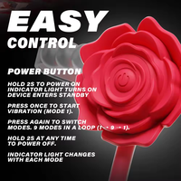 Vibrateur portable pour femmes, jouet sexuel pour adultes, mini-vibrateur à commande par application, jouet sexuel pour culotte