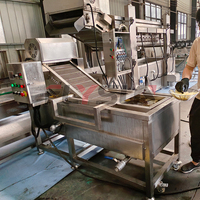 Commerciële productielijn voor gebakken bananenchips, continue fruit- en groentefriteuse voor bananen, plantains en appelchips