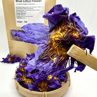 Fleur de Lotus Bleu Séchée de Haute Qualité, Vrac en Gros pour Tisane