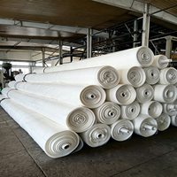 Dôme gonflable moderne en PVDF pour stades sportifs, terrains de sport, garages, abris, piscines, basketball, football, soccer