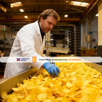 SENSITAR Nouvelle ligne de production automatique de frites surgelées et de chips de pommes de terre à haute efficacité 1500 kg/h pour les usines de transformation des légumes