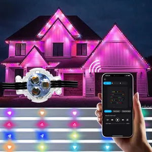 Permanent Outdoor Track Led Pixel Point Light House Decoration Waterproof Ip68 12v Point Light Source String Light