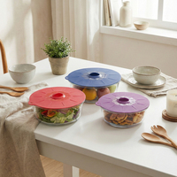 Silicone Food Storage Round Suction Lids LFGB Food Grade Silicone Microwave Reusable Bowl Cover