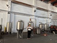 Cuve de Fermentation en Acier Inoxydable SS304/316 500L Certifiée CE pour Bière, Vin et Bioéthanol / Fermenteur Industriel