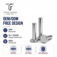 Rivets plats en acier inoxydable TianFang pour plaques de bornes de compteurs électriques, finition passivée, service OEM ODM