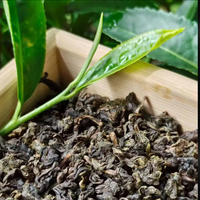 Thé Oolong Biologique Écologique du Yunnan Cangshan 2026, Vente au Détail et en Gros, Personnalisation Disponible