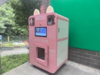 Machine à laver les chiens en acier inoxydable, équipement de nettoyage automatique pour animaux de compagnie, OEM ODM, système de bain multifonction pour animaux
