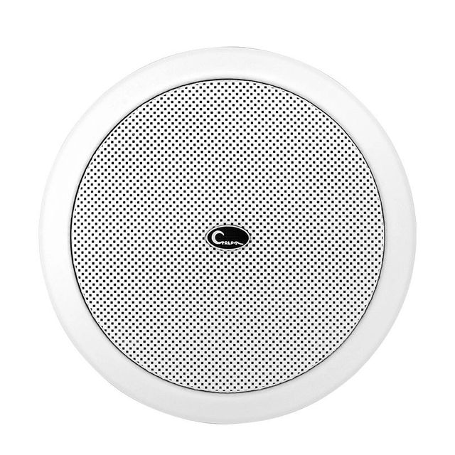 Rated Power 6W  CA012 High Quality Ceiling Speaker Durable & CE & FCC Certified for Home Theater & Commercial Use & PA System
